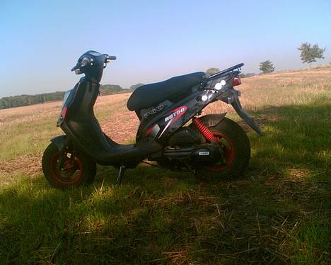 PGO hot 50 <<solgt>> billede 4