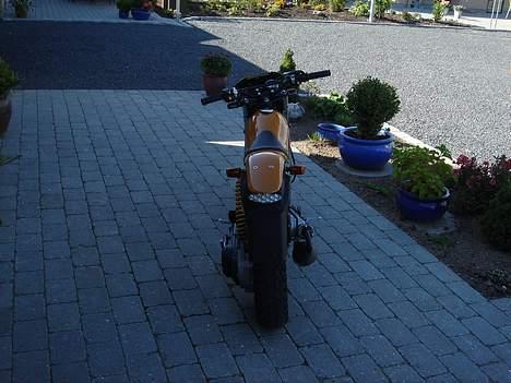 Suzuki street magic billede 4