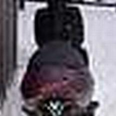 Aprilia Sonic [solgt]