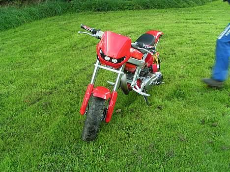 Suzuki street magic.  billede 3