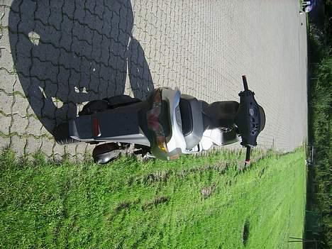 Gilera runner lc dd 30´er billede 8