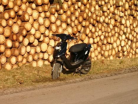 PGO Hot 50 #SOLGT# - Holder lige i skoven.!! :D billede 1