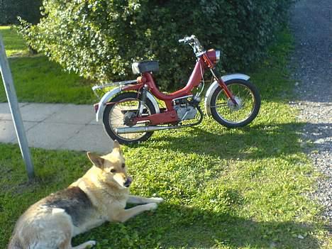 Monark **Compact 1247** - mine kærligheder billede 6