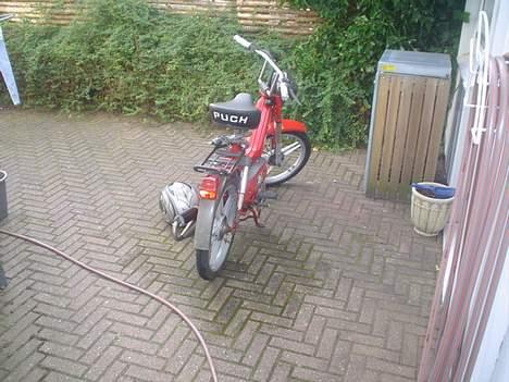 Puch Maxi SOLGT billede 5