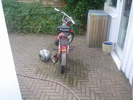 Puch Maxi SOLGT billede 6