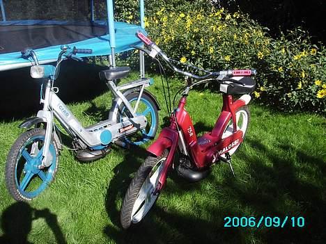 Vespa ciao "Malossi" (SOLGT) billede 19