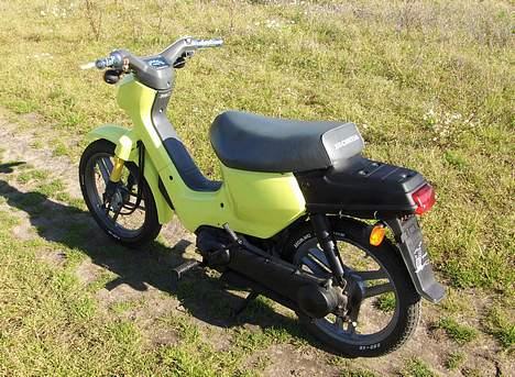 Honda Wallaroo (Byttet)  billede 15