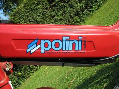 Puch Maxi P/Polini Solgt billede 1