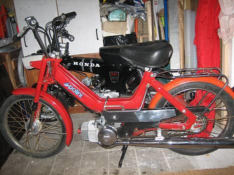 Puch Maxi P/Polini Solgt billede 2