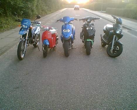 PGO Hot 50.  billede 19