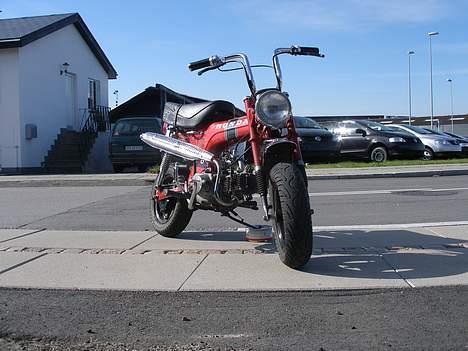 Honda Dax ST billede 5