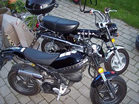 Skyteam honda dax solgt for 6000 billede 9