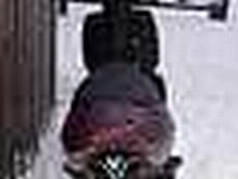 Aprilia Sonic [solgt] billede 3