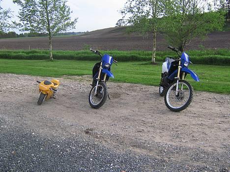 Suzuki SMX *SOLGT* billede 13