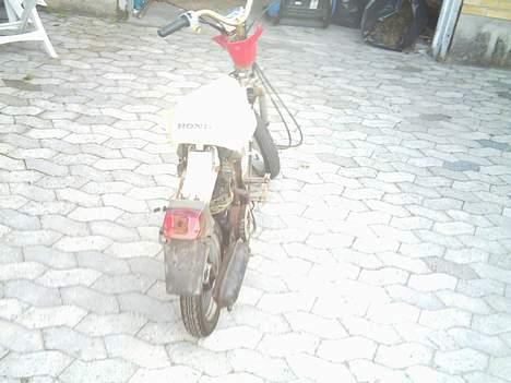 Honda Melody Projekt SOLGT! billede 3