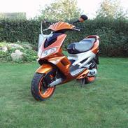 Peugeot speedfight 1