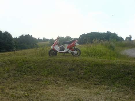 Gilera Stalker *SOLGT* billede 19