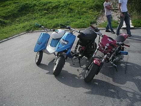 Suzuki **most wanted**- projekt - min street bamse - madses stalkat og kaspers jog     mig i baggrunden med den hvide trøje billede 5