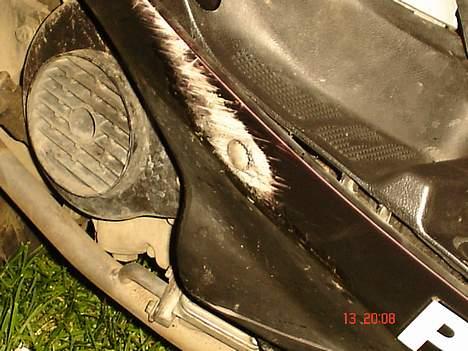 Pexma KD50QT (far's scooter) !  billede 17