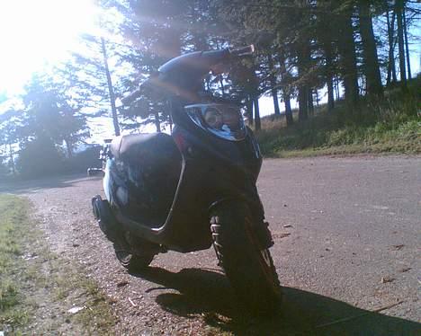 PGO hot 50 <<solgt>> billede 14