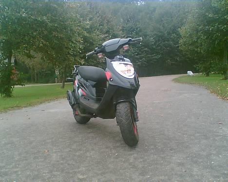 PGO hot 50 <<solgt>> billede 18