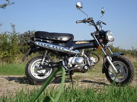 Honda Skyteam Dax billede 1