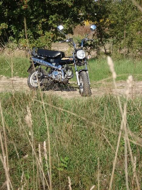 Honda Skyteam Dax billede 3