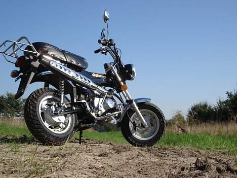 Honda Skyteam Dax billede 9