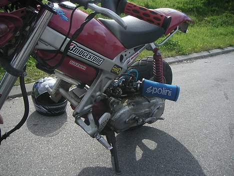 Suzuki **most wanted**- projekt billede 10