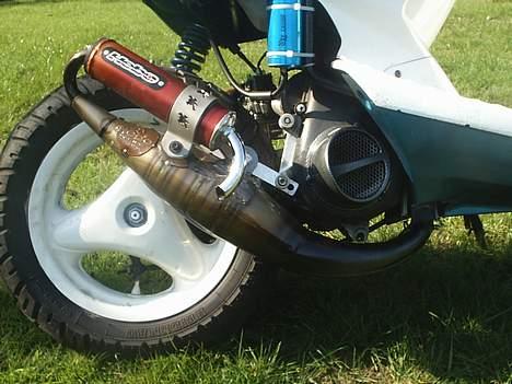 Yamaha bws >>>hebo pata Negra<<< - Hebo Manston Replica billede 7