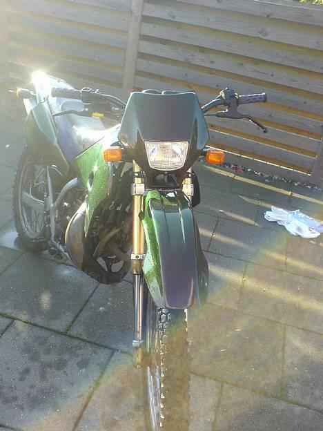 Suzuki Rmx ( solgt ) billede 7