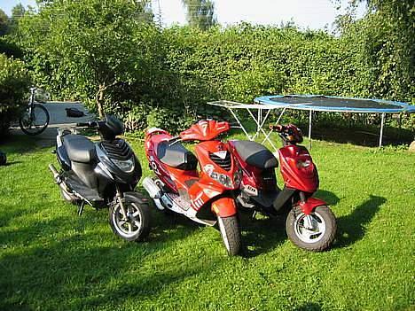 Peugeot 307 Speedfight 2 WCR billede 13