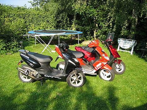 Peugeot 307 Speedfight 2 WCR billede 16