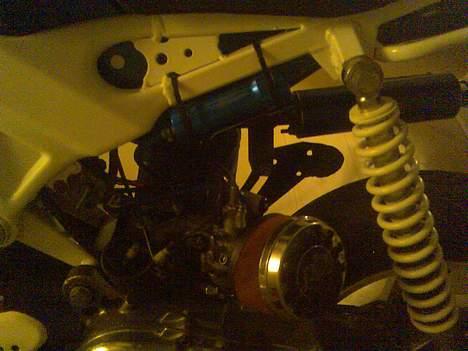 Suzuki  byt med std sonic billede 7