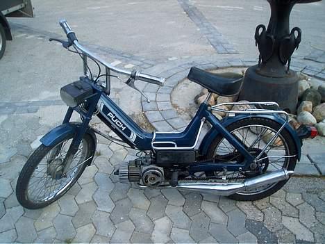 Puch Maxi  (Byttet til Hot 50) billede 2