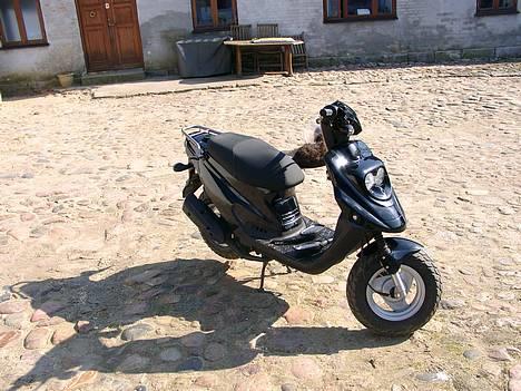 PGO hot 50 Solgt! billede 3