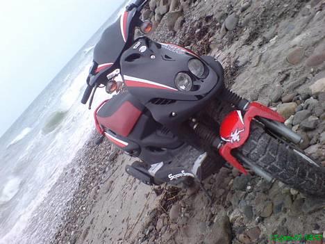 PGO PMX sport SOGLT FOR 7000 - min dejlige PMX :D billede 1