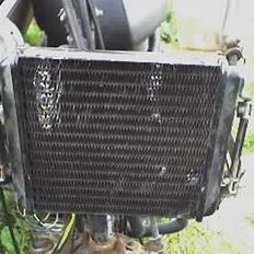 Yamaha Neo's LC [Vinterhi]