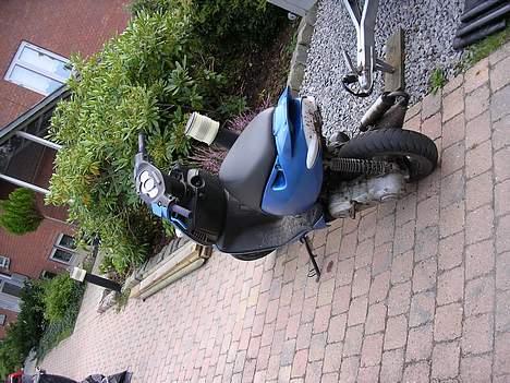 Puch monza 2g efter solgt billede 7