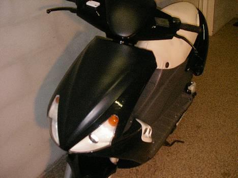 Benelli 491 ST  ¤GONE¤ billede 3