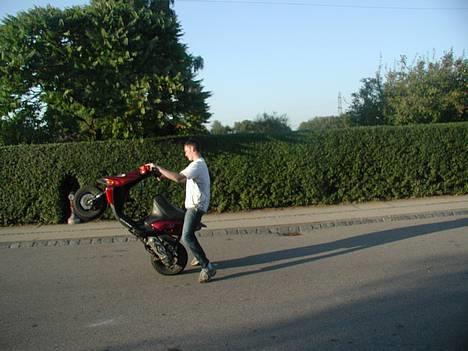 Gilera stalker byttet til sonic billede 10