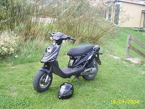 PGO Hot 50. Projekt 110 ccm billede 2