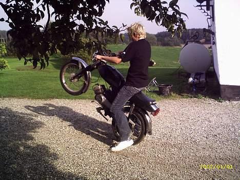 Puch monza 3g - stejler billede 8