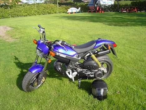 Suzuki Streetmagic billede 3