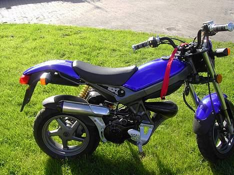 Suzuki Streetmagic billede 7