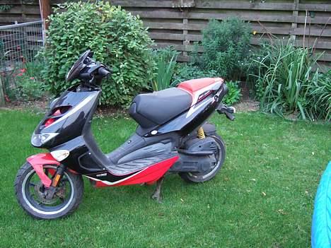 Aprilia ditech billede 6