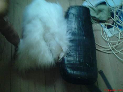 Puch Monza  ( - Solgt - ) billede 11