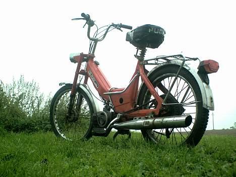 Puch Maxi P - Solgt  billede 2