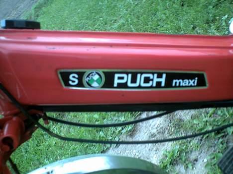 Puch Maxi P - Solgt  billede 7