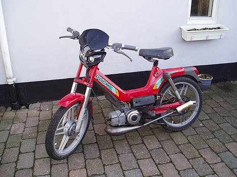 Puch Maxi P1 billede 1